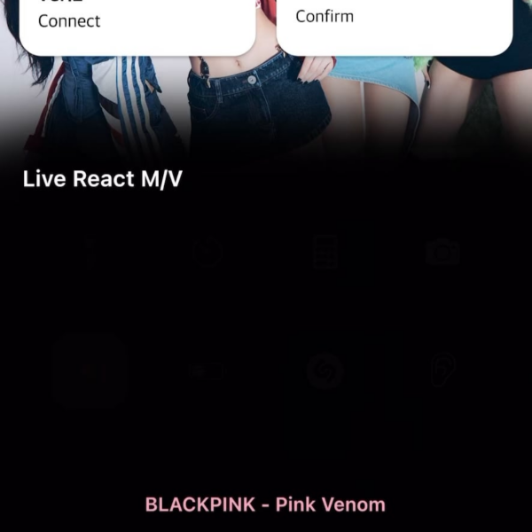 Blackpink Light Stick app issue