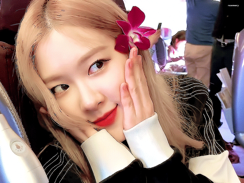 Rosé