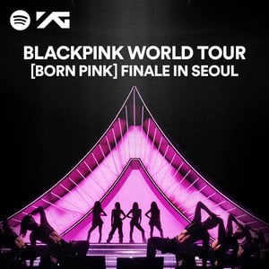 Give this playlist a listen: BLACKPINK WORLD TOUR [BORN PINK] FINALE IN SEOUL