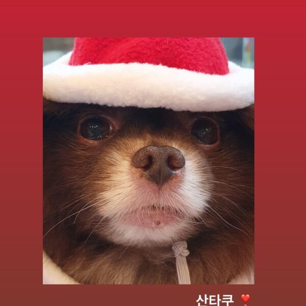 231225 Jennie IG Story Update