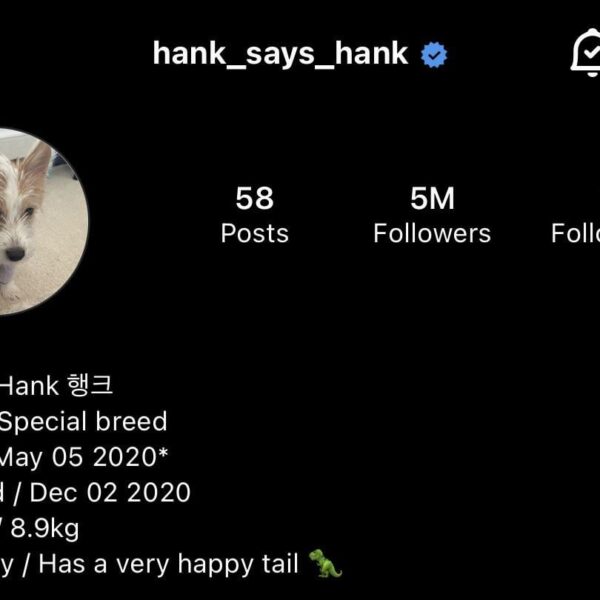 240105 Hank has surpassed 5 MILLION followers on Instagram, becoming the 2nd most followed pet in the world!