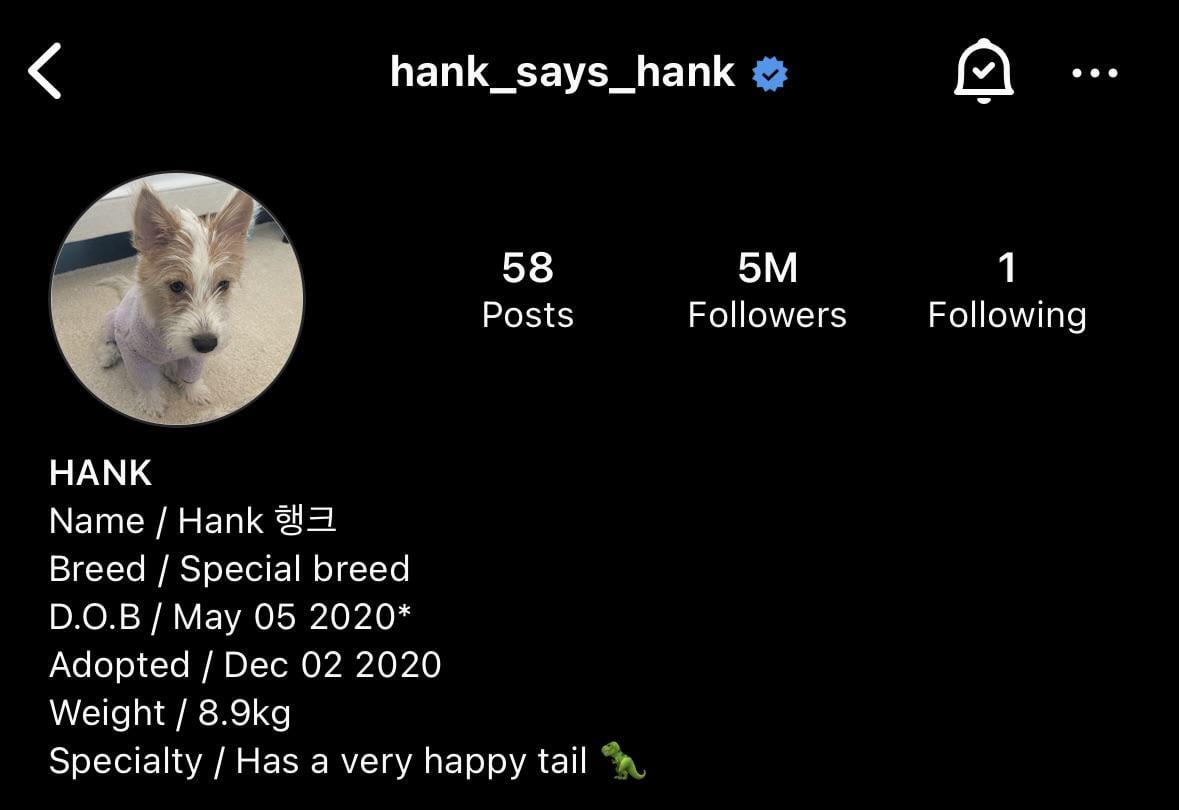 240105 Hank has surpassed 5 MILLION followers on Instagram, becoming the 2nd most followed pet in the world!