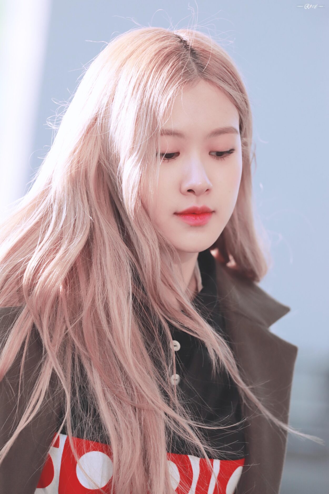 Rosé