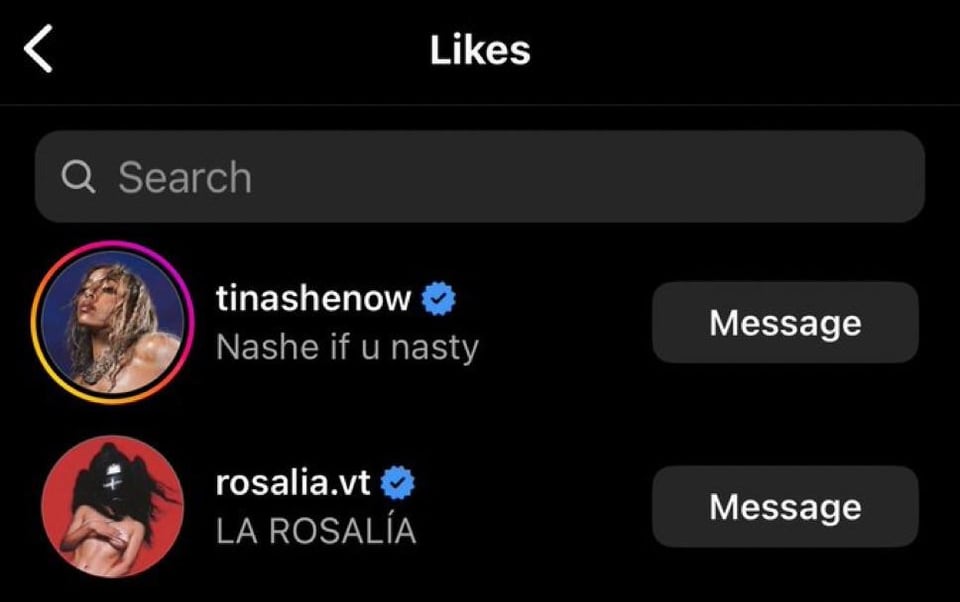 240621 Tinashe and Rosalía liked Lisa’s Rockstar post on Instagram!