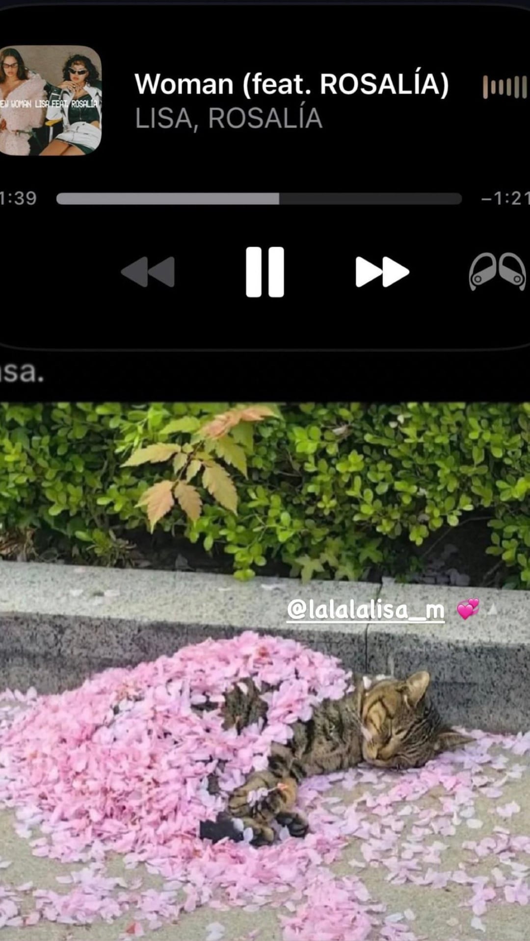 240821 Lisa IG Story Update